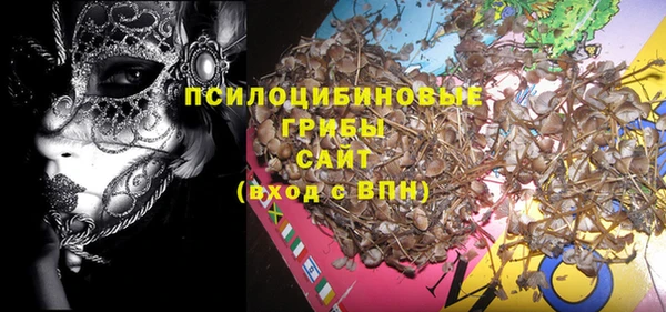 твердый Алексеевка