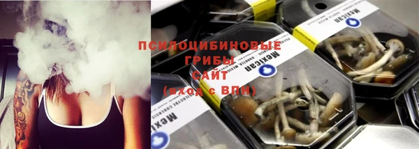 твердый Алексеевка