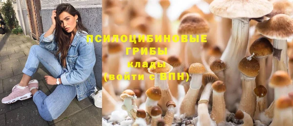 соль ск Алексин