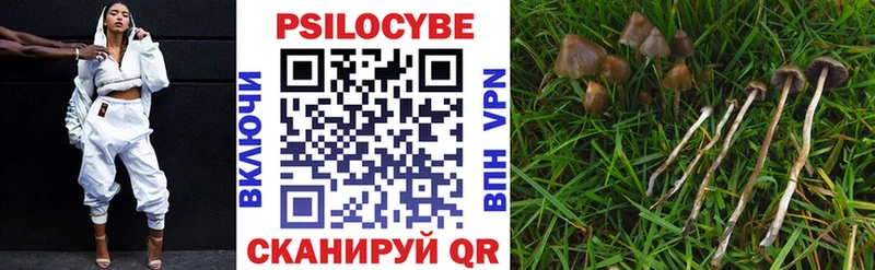 Псилоцибиновые грибы прущие грибы  Астрахань 