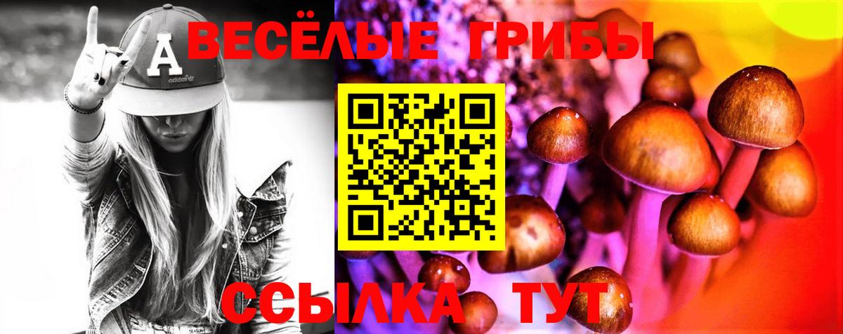Галлюциногенные грибы ЛСД Астрахань