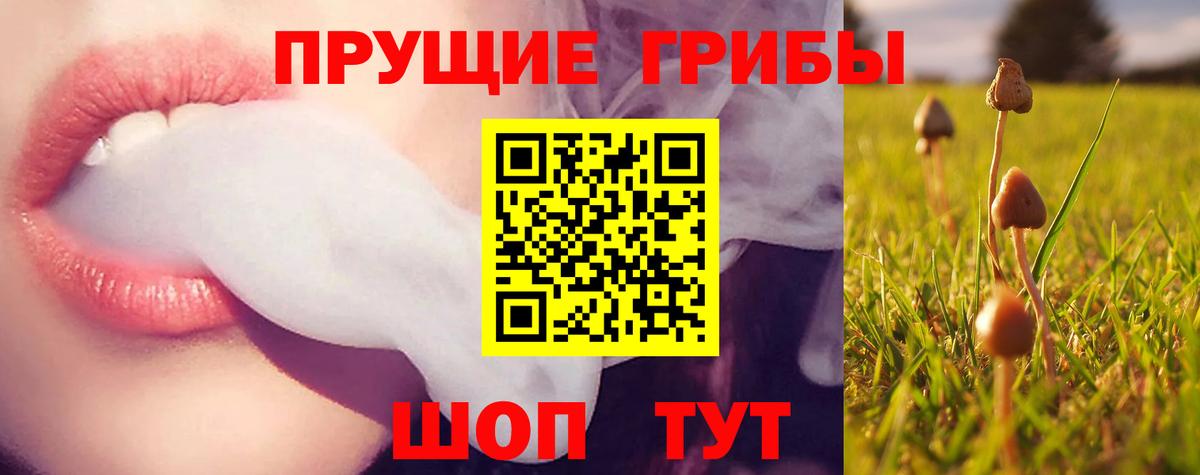 Астрахань  Псилоцибиновые грибы мухоморы  где найти наркотики  Вход с VPN 